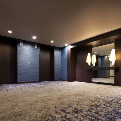 Moderno Silverstone Luxury Hotel Alfombras Tapices De Salón Cine Teatro Axminster Alfombra para el Casino