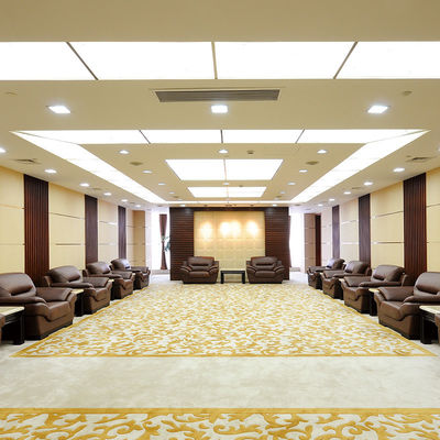 Alfombra de hotel de lujo a prueba de fuego de Broadloom en nylon púrpura para el salón
