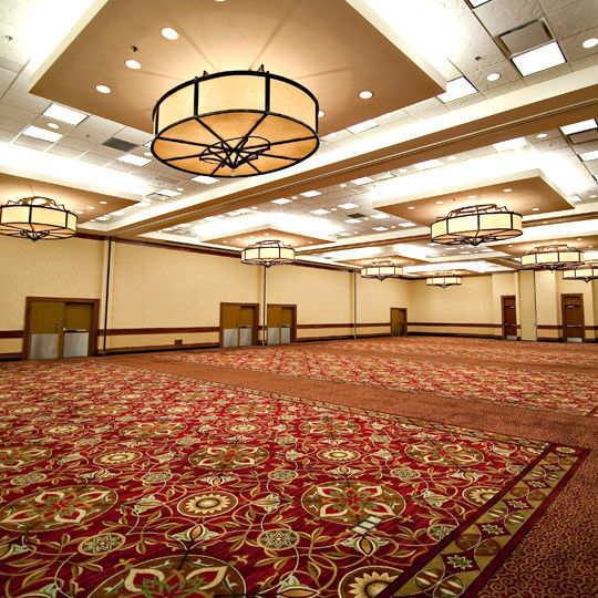 Alfombra de hotel 80% lana 20% suelo de la sala de banquetes de nylon Axminster personalizable