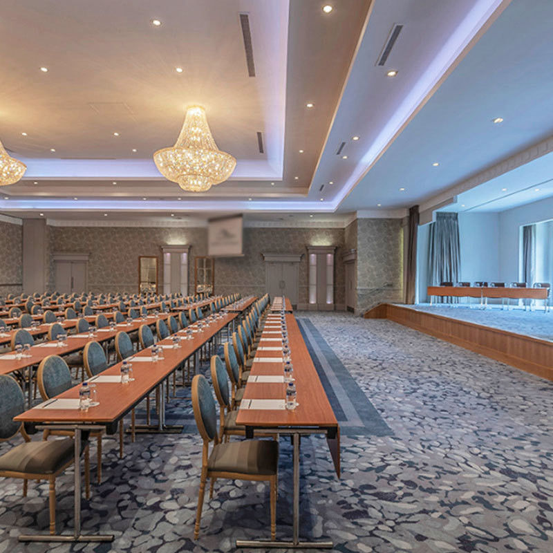Moderno Silverstone Luxury Hotel Alfombras Tapices De Salón Cine Teatro Axminster Alfombra para el Casino
